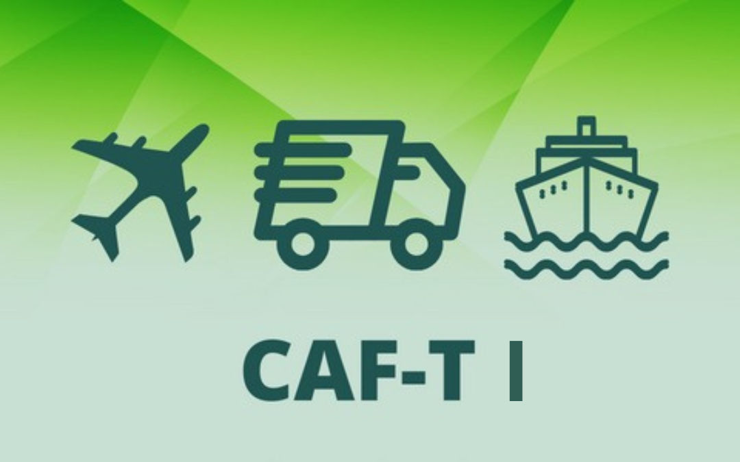  Introdução a Fiscalização de Mercadorias no CAF-T